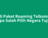 Beli Paket Roaming Telkomsel tanpa Salah Pilih Negara Tujuan