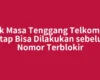 Cek Masa Tenggang Telkomsel Tetap Bisa Dilakukan sebelum Nomor Terblokir