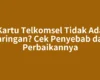 Kartu Telkomsel Tidak Ada Jaringan? Cek Penyebab dan Perbaikannya