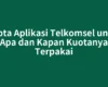 Kuota Aplikasi Telkomsel untuk Apa dan Kapan Kuotanya Terpakai
