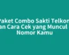 Isi Paket Combo Sakti Telkomsel dan Cara Cek yang Muncul di Nomor Kamu