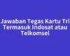 Jawaban Tegas Kartu Tri Termasuk Indosat atau Telkomsel