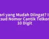 Cari yang Mudah Diingat? Ini Maksud Nomor Cantik Telkomsel 10 Digit